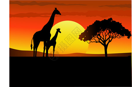 南非动物非洲日落插图红色剪影荒野食草草地破坏沙漠生态动物设计图片