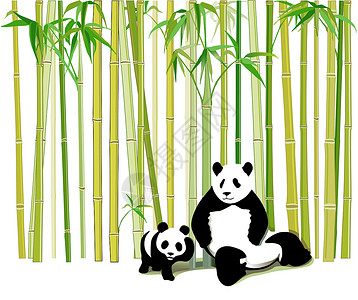 熊猫和竹子熊猫母子设计图片