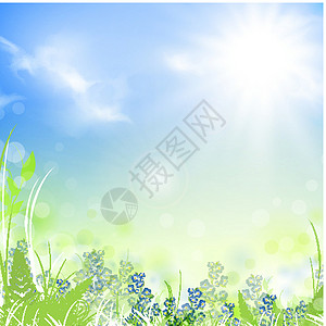 夏草夏季夏月场地生长季节地平线园艺天气阳光活力野花环境设计图片