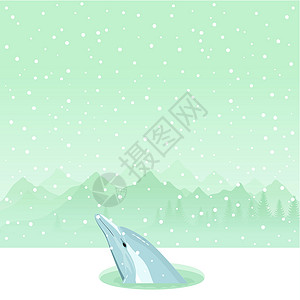 未开垦的冰洞中的海豚设计图片
