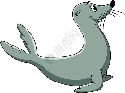 海豹游泳贴印漫画海滩平衡动物园海豹绘画水族馆哺乳动物毛皮宠物季节设计图片