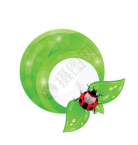 绿圆框架 含有叶元素和草虫 生态无害b设计图片