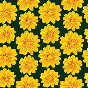 黄色甘菊型背景图片