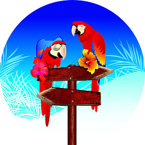 孤立的鹦鹉两只鹦鹉在标志上设计图片