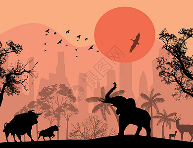 印度大象城市公园中的野生动物设计图片