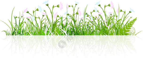 鲜花盛开的草地绿色季节植物花园生长叶子植物群插图图片