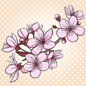 雨水淋湿樱花芽樱花花花瓣艺术植物插图季节植物群叶子樱花卡片公园设计图片