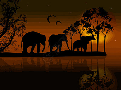 肯尼亚动物大迁徙大象环绕着非洲水边的非洲设计图片