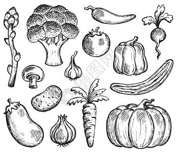 萝卜炖牛腩元素蔬菜主题收藏 2设计图片