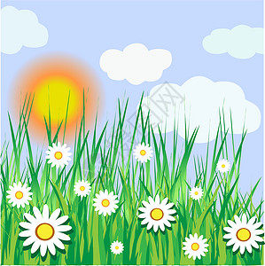 未开垦的阳光明日太阳植物三叶草叶子雏菊天空环境草本植物牧场插图设计图片