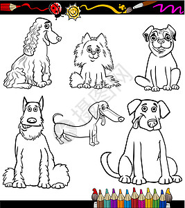 宠物页面卡通狗品种彩色页面设计图片