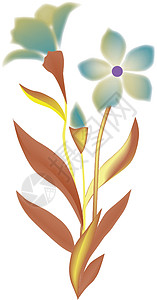 清纯白色鸡蛋花花异国植物学植物风格生长兰花花瓣花园鸡蛋花季节设计图片