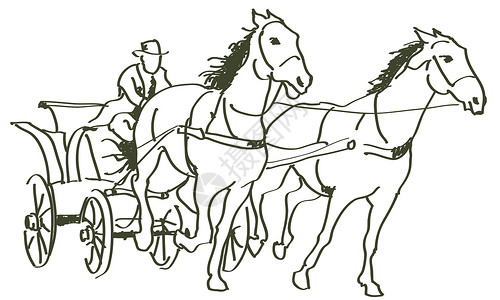 青海湖牵马的人手牵马匹标识骑手马术力量速度草图野马自由朋友农场设计图片