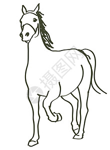 拔插式手拔马匹草图荒野朋友马背速度运动马术插图农场力量设计图片