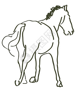 拔插式手拔马匹草图鬃毛哺乳动物假期运动骑手野马马背自由力量设计图片