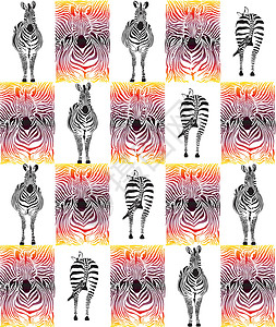 顽皮豹壁纸纺织品和壁纸的豹型结构绘画皮肤动物群姿势墙纸哺乳动物动物园黑色线条白色设计图片