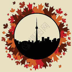 加拿大秋天多伦多天际港口建筑学中心插图摩天大楼叶子公司城市商业设计图片