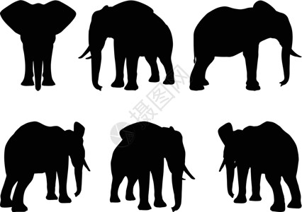 非洲大象各种姿势的一套可编辑的矢量光影集设计图片