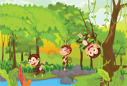 3只动物黑猴子溪流厚脸树叶哺乳动物岩石丛林动物场景树木荒野设计图片