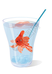 滨水酒吧金金鱼危险酒吧管子液体酒精假期红色玻璃娱乐反射设计图片