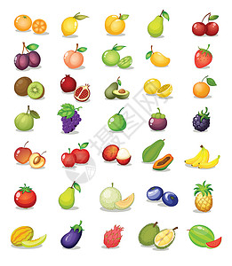 冰糖柚混合水果插图奇异果菠萝西瓜柠檬食物木瓜李子茄子石榴设计图片