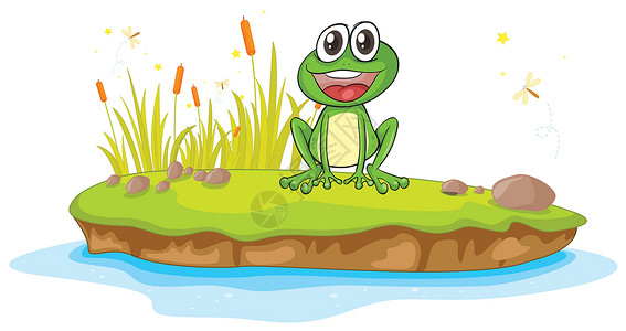 池塘草青蛙和水动物野生动物飞行岩石池塘两栖植物群昆虫绿色绘画设计图片