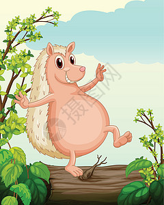 刺猬与树叶大自然中的猪设计图片