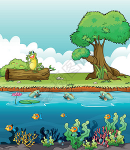 鱼河一条河和一只微笑的青蛙设计图片
