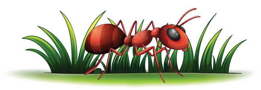 长草颜蚂蚁天线漏洞草地绿色植物工人绿色绘画荒野卡通片动物设计图片