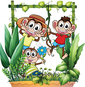 一群猴子三只猴子在玩白色海浪竹架眼睛帽子鼻子植物绿色绘画动物设计图片