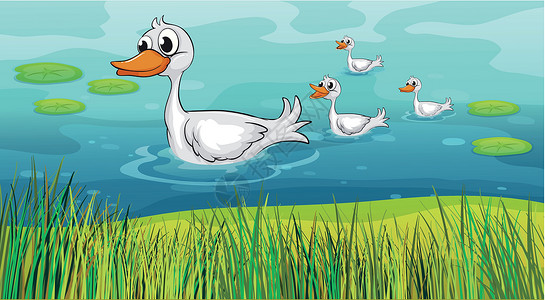 鸭子游泳小鸭子跟着母鸭子设计图片