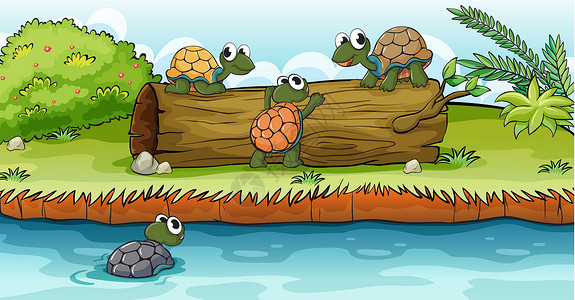乌龟河干木材上的海龟设计图片