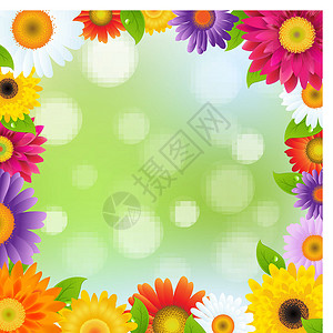 北京24格婚礼官网色白花框架雏菊植物学植物群横幅园艺拼贴画美丽花瓣卡片海报设计图片