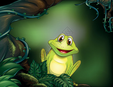 矮小丛林中的青蛙树叶森林动物心形植物树干绘画杂草树木坡度设计图片