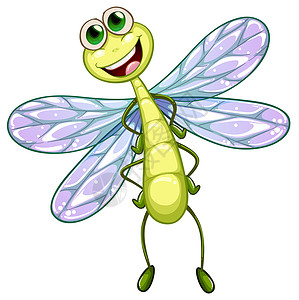 绿色翅膀一只微笑的翅膀害虫艺术家艺术品昆虫眼睛曲线蜻蜓圆圈卡通片设计图片