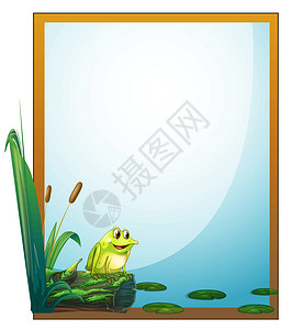 池塘中的青蛙池塘中一只青蛙的架子设计图片