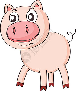 大金链猪a 猪婴儿动物哺乳动物农场粉色家畜野生动物荒野白色农业设计图片