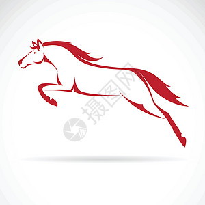 马奔跑哒哒声马的矢量图像竞赛展览自由野马赛马插图反思鬃毛哺乳动物农场设计图片