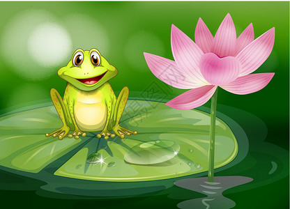 树叶遮雨青蛙池塘粉红花旁的青蛙设计图片