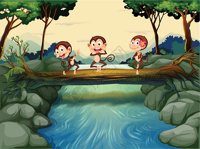 森林里猴子三只猴子横渡江河设计图片