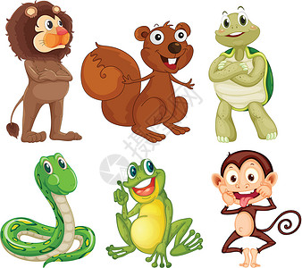 蛇鼠一框丛林中六种不同种类的动物设计图片