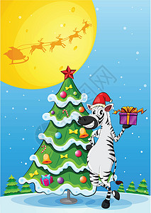 斑马亚种高高的圣诞树旁的斑马设计图片