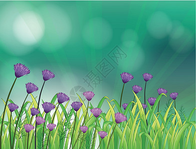 元素植物花朵有紫罗兰花的一个庭院植物射线材料备忘录花朵海报卡片学校杂草树叶设计图片