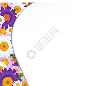 非洲雏菊绿色叶子的花朵框架颜色设计图片