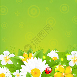黑白棋格边框带青草和多花花的边框设计图片