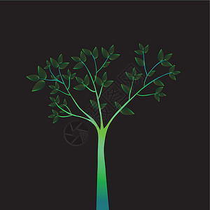 盛一伦壁纸绿树 - 矢量设计图片