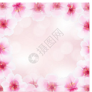 白色的小花花模糊背景的樱花花框架Name设计图片