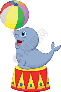 海豚宝宝表情包关于马戏团印章玩球的插图哺乳动物荒野晶须展示快乐狮子漫画卡通片乐趣卡通设计图片