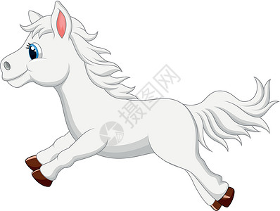 白色马蹄花跑着可爱的白马设计图片