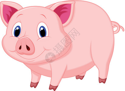 粒粒丰满可爱猪漫画动物宠物哺乳动物猪肉农业婴儿微笑卡通片小猪插图设计图片